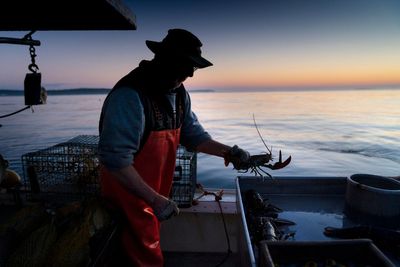 Stricter lobster fishing rules scrapped after complaints from fishermen about harm to industry