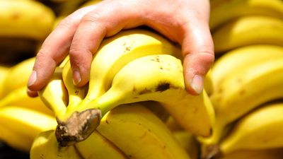 Dutton weighs in on RBA amid banana price rise warning