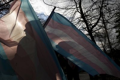 Trump administration to ban transgender people from military enlistment