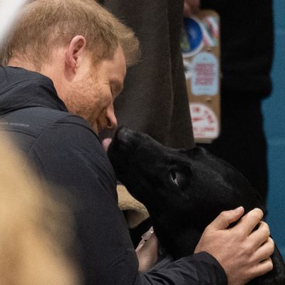 Prince Harry Shares an Emotional Update on How He and Meghan Markle Are Coping After Losing Guy