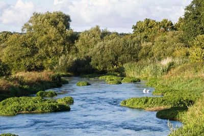 Country estate fined £28,000 for taking too much water from rare chalk stream