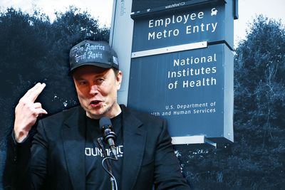 Musk bites the federal hand that fed him