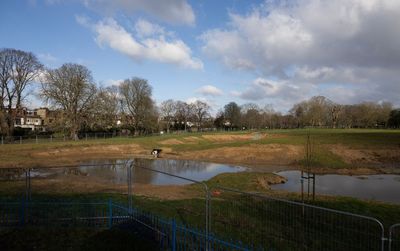 Hundreds of residents urge London council to rethink construction of ‘swamp ponds’