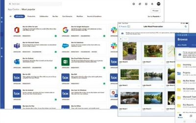 Box Business Plus review