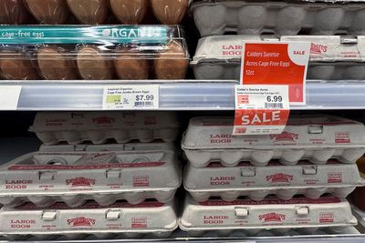 As egg prices continue to soar, grocers like Trader Joe's limit how many cartons customers can buy