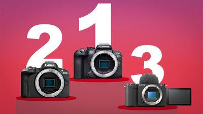 Canon EOS R10 is the best-selling camera of 2025 in Japan (so far...)