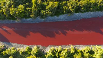 Canal turns into 'stream of blood' in Argentina as locals fear toxic leak