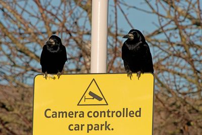 Parking firms pledge to stop punishing drivers who take too long to pay