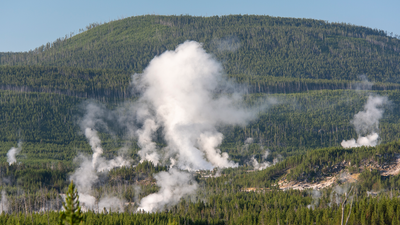 Yellowstone National Park at an increased risk of wildfires due to standing dead trees, warn researchers