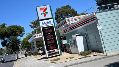 Police defend taser, baton use in servo arson arrest
