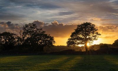 England’s wildlife watchdog failing to protect crucial sites, say campaigners