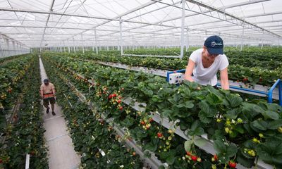 More yield, less field: how vertical farming is saving space, water and emissions