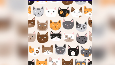 Optical illusion: Only a true cat lover can spot the cat with a heart-shaped nose in 10 seconds