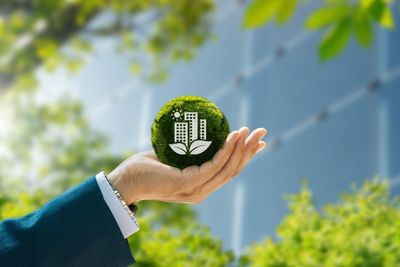 Office Sustainability: How to Curb Overheads & Lower Carbon Emissions