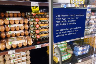 Record egg prices are no yolk