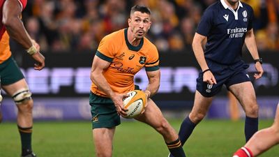 Wallabies star backs Schmidt for consultancy role