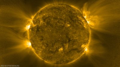 Tiny plasma jets on the sun drive the elusive solar wind, Europe's Solar Orbiter reveals