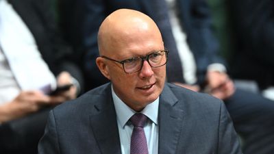 Dutton wants citizenship debate after anti-Israel video