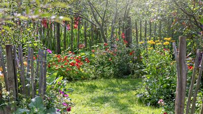 Professional gardeners reveal even they experience garden guilt sometimes – here are 7 ways to defeat the need for a 'perfect' garden