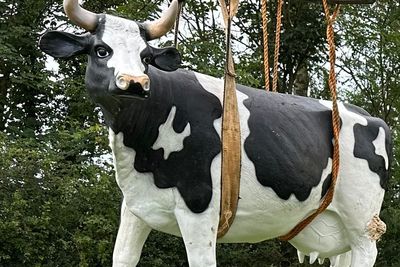 Life-sized plastic cow stolen from Yorkshire farm