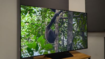 I’ve tested some of the best and the big problem with Mini LED TVs is they try too hard