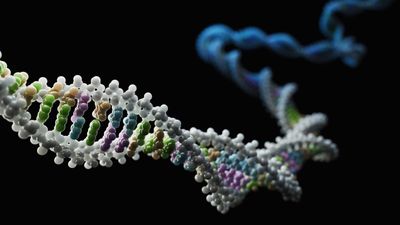 Scientists just rewrote our understanding of epigenetics