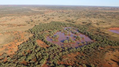 Biodiversity wins from 'high-integrity' carbon farming