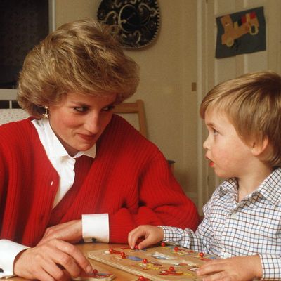 Prince William Had a Heartbreaking Reason for Choosing His Childhood Dream Job