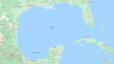 Microsoft confirms it will change name of Gulf of Mexico to Gulf of America on Bing Maps (Update)