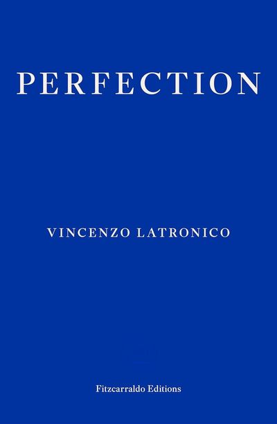 Perfection by Vincenzo Latronico review: a self-skewering portrait of identikit hipsters