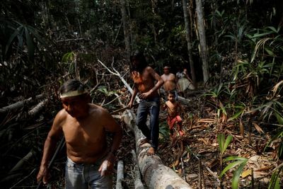 Man from uncontacted Amazon tribe emerges from forest