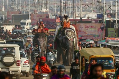 Three people dead after elephants spooked by temple fireworks go on rampage