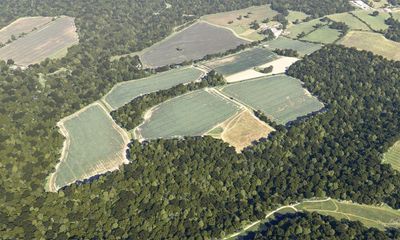 Habitat banks: how law to boost wildlife in England is faring one year in