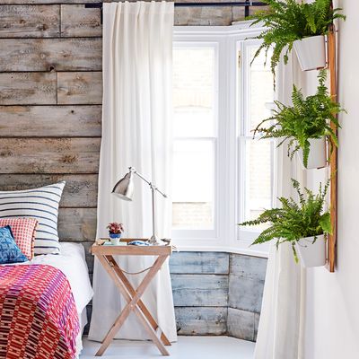 7 houseplants you should never place in a bedroom — They could be damaging your sleep