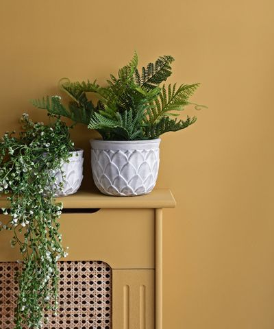 3 reasons your fern is drooping and how to save it, according to houseplant experts