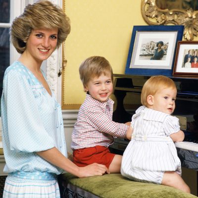 Prince Harry and Prince William Share This Parenting Conundrum as They Honor Princess Diana