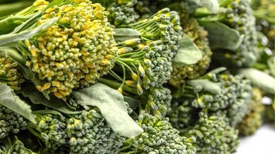 Anti-ageing expert Bryan Johnson shares the best way to prepare broccoli for blood sugar control