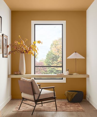 Sherwin-Williams is known for its best-selling neutrals, but these lesser-known colorful shades are favorites among designers