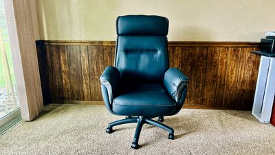 Stylish, comfortable, and professional, for my money this executive office chair means business - but with one major flaw