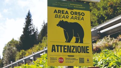 'If we see a bear, we will keep riding - as fast as possible': Riding northern Italy's Doga route