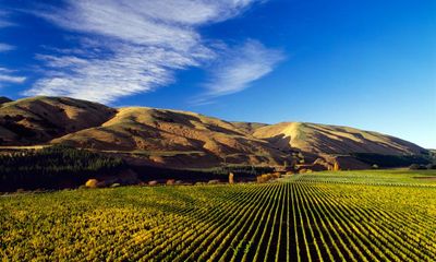 Wine: fantastic specialities from Australia and New Zealand