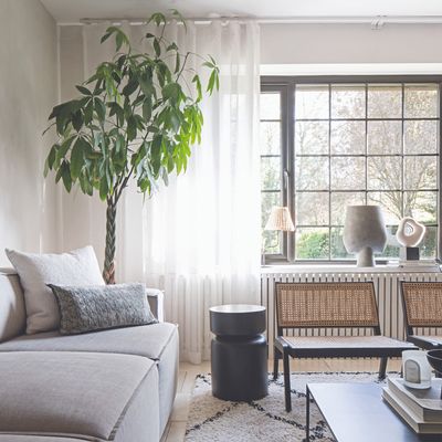 How to use curtains to make a small living room look bigger – interior experts share 4 tricks they use to create the illusion of space