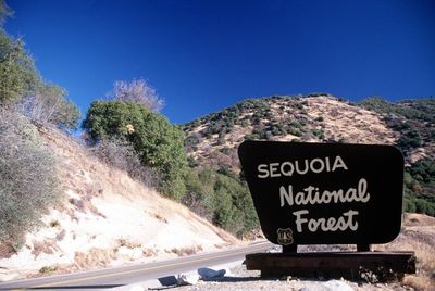 US Forest Service and National Park Service to fire thousands of workers