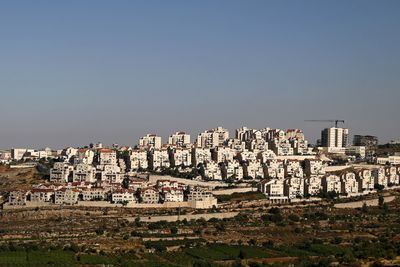 Israel plans 1,000-unit expansion for occupied West Bank settlement: NGO