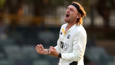 WA spinner bags career-best haul as Queensland stumble