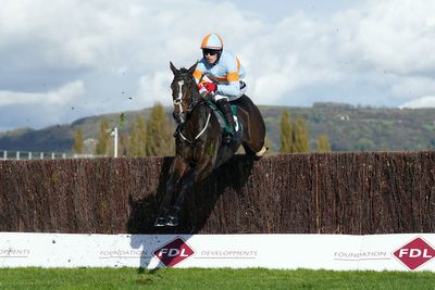 Cheltenham Festival ante-post tips: Mozzie can prove a punters’ pal