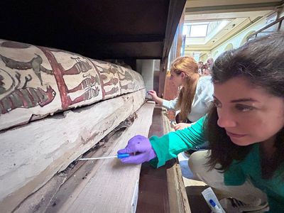 Unlocking the spicy smells of Egyptian mummies ...Tech & Science Daily podcast