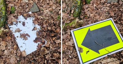 Runners 'sent wrong way' during trail race as unknown person 'imitates event marshal'