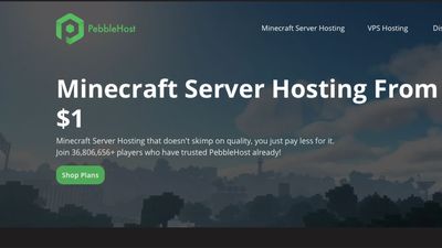 PebbleHost review