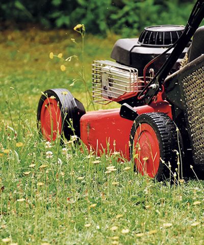 When to buy a lawnmower – we reveal the exact dates you can save money on these expensive machines